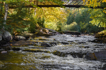 River at Stubb's Fall Trail in Arrow Head Provincial Park, Ontario Canada during Autumn. 