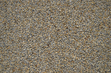 Pearl Millet Seeds Background, Bajra, Bajra Seeds Close up Background