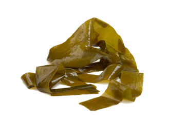 Kombu algae