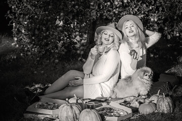 Two blonde girls on a picnic, ladies friendship love concept of relationship. Friends lifestyle