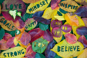 Creative colorful autumn concept for self motivation and positive attitude with words carved into...