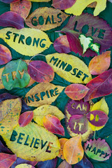 Creative colorful autumn concept for self motivation and positive attitude with words carved into leaves. Flat lay.