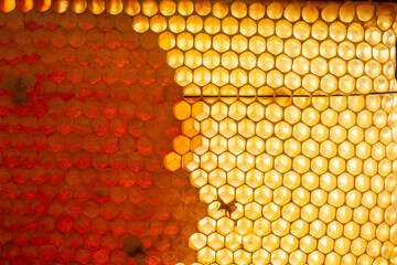 Honeycomb with sweet golden honey. Healthy eating. Beekeeping concept. bee products by organic natural ingredients concept