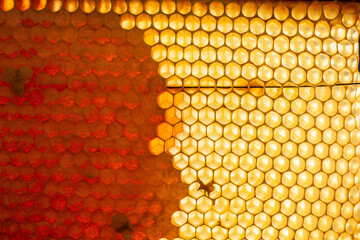 Honeycomb with sweet golden honey. Healthy eating. Beekeeping concept. bee products by organic...