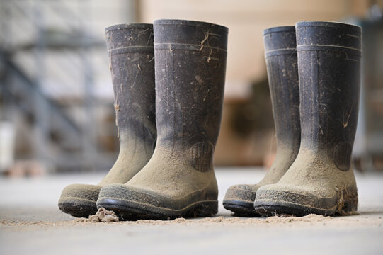 Black Wellies Dirty Two Pairs