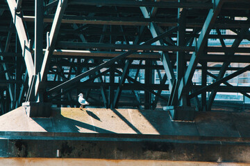 bridge over the river seine