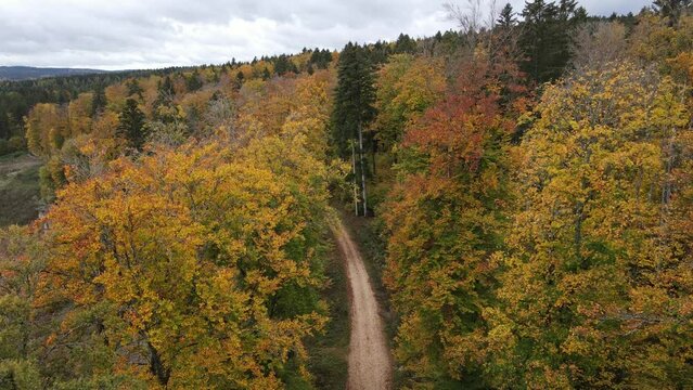 Donaubergland bei Tuttlingen
