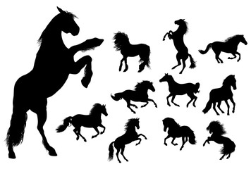 Wild horses silhouette collection on white background