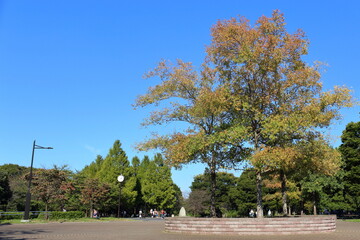 公園
