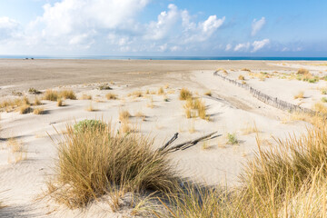 Lonely beach at Camargue national park, France - 538410957