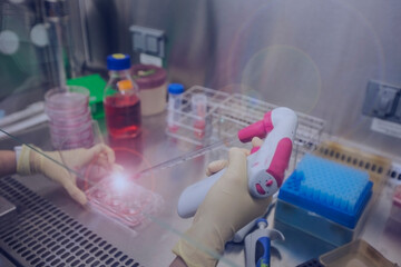 Cell Culture or Tissue culture