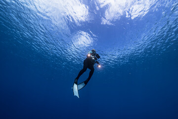 Free diver is swimming in coral reef of Caribbean Sea around Curacao