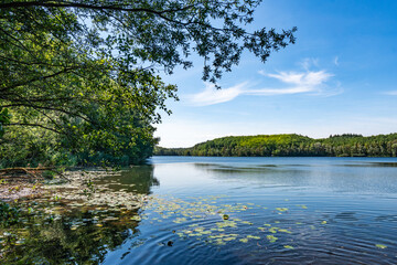 The Untersee or lower lake of the ville chain of lakes in the summer near cologne bruehl in North Rhine-Westphalia, germany © Danny