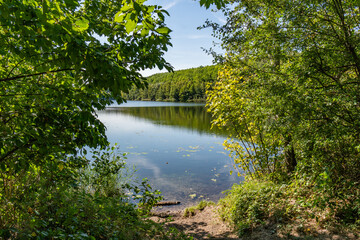 Fototapeta premium The Mittelsee or middle lake of the ville chain of lakes in the summer near cologne bruehl in North Rhine-Westphalia, germany