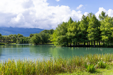 Fototapeta na wymiar Beautiful natural landscape with water pond