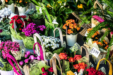 Display Of Colourful Flowers Outside A Florist Shop