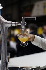 camarero sirviendo caña de cerveza de grifo