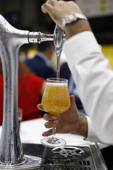barman llenando de cerveza una copa desde el grifo de barril