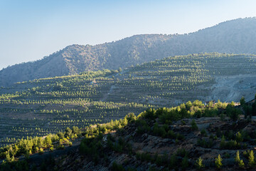 morning mountains close-up, mountain valley