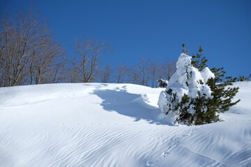 snowy mountainside at the world famous Mountain Olympus in Greece