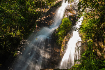 Obraz premium Beautiful water stream in Filveda waterfall, Sever do Vouga, Portugal. Long exposure smooth effect. Idyllic green scenery, mountain forest landscape.