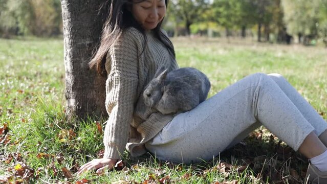 Adorable young rabbit and woman sit together outdoor in autumn forest. Asian woman wear warm sweater with pet in relax and calm.
