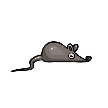 cartoon colored mouse rat vector