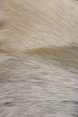 fur texture close-up for background.winter background