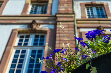 Architectural detail in Strasbourg, France