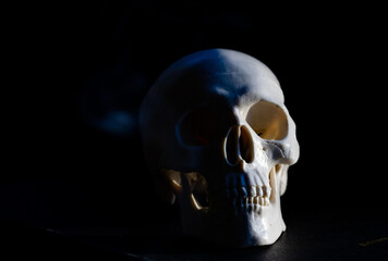 scary human skull horror Halloween