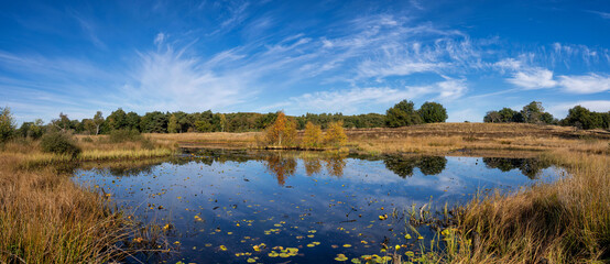 The Rolvennen lakes in the National Park Meinweg near Roermond
