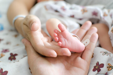 Naklejka premium Baby Foot on parents Hands. Tiny Newborn Baby's foot on mother and father hands closeup.