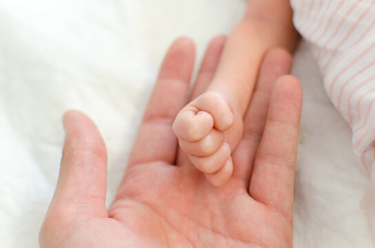 Baby hand on father hand. Tiny Newborn Baby's closed hand on male hand closeup. White background