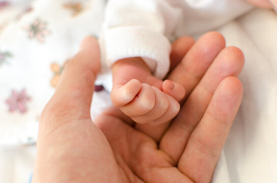 Baby hand on father hand. Tiny Newborn Baby's closed hand on male hand closeup. Blanket background
