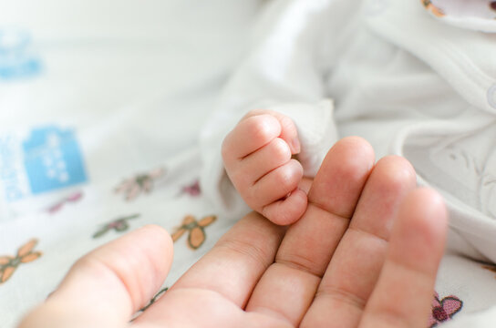 Baby hand on father hand. Tiny Newborn Baby's closed hand on male hand closeup. Blanket background