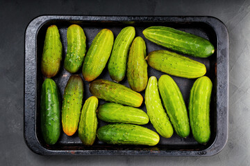 Freshly harvested cucumbers on a dark background. Lots of big cucumbers for pickling. Fresh vegetables for canning. Top view