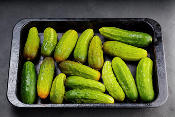 Freshly harvested cucumbers on a dark background. Lots of big cucumbers for pickling. Fresh vegetables for canning. Top view
