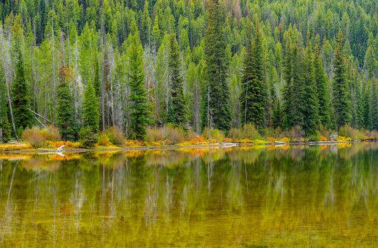 Clear Water Lake With Colorful Plants And Forest