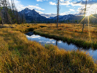 Meadow with a stream reflection of Idaho mountain