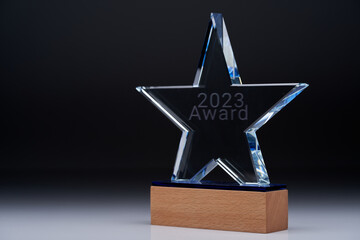 crystal trophy with single word 2023 award