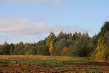 Fototapeta premium autumn in the mountains