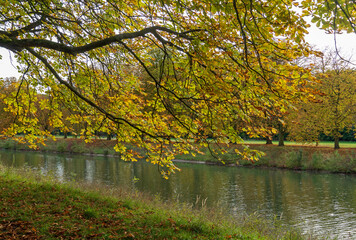 Herbst am Decksteiner Weiher, Köln