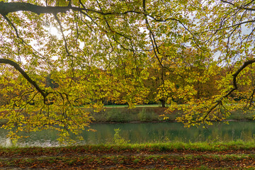 Herbst am Decksteiner Weiher, Köln