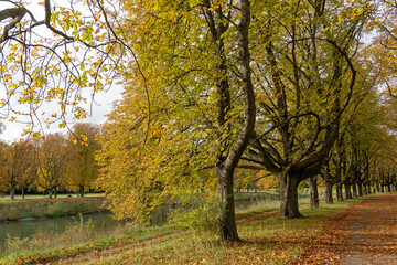 Herbst am Decksteiner Weiher, Köln