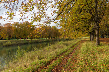 Herbst am Decksteiner Weiher, Köln