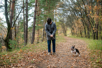 A happy and joyful boy walks with his buddy, a Boston terrier puppy, in a beautiful golden autumn forest. A child plays and has fun with a dog while walking outdoors in nature. Friends since childhood
