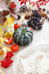 カボチャや木の実のオータムフレーム