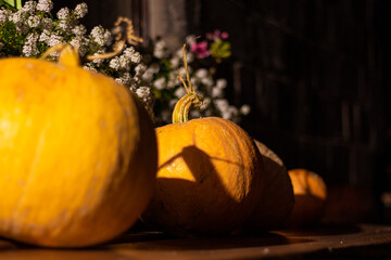 Big pumpkin late at night
