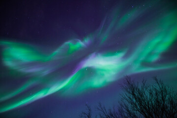 Fototapeta na wymiar huge green and purple aurora borealis