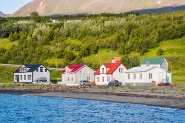 the coastline of village of Hjalteyri in Iceland